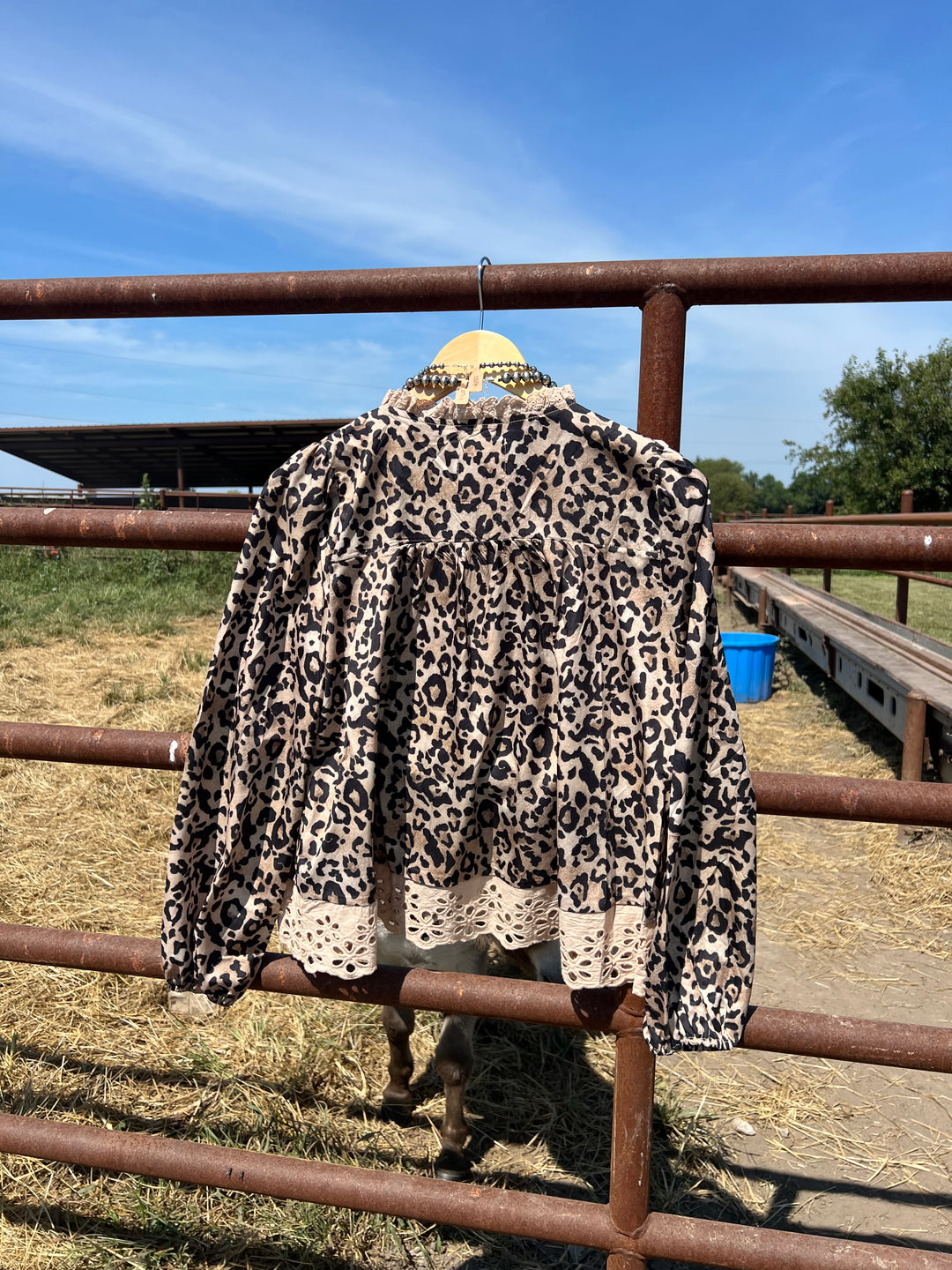 Leopard & Lace Top