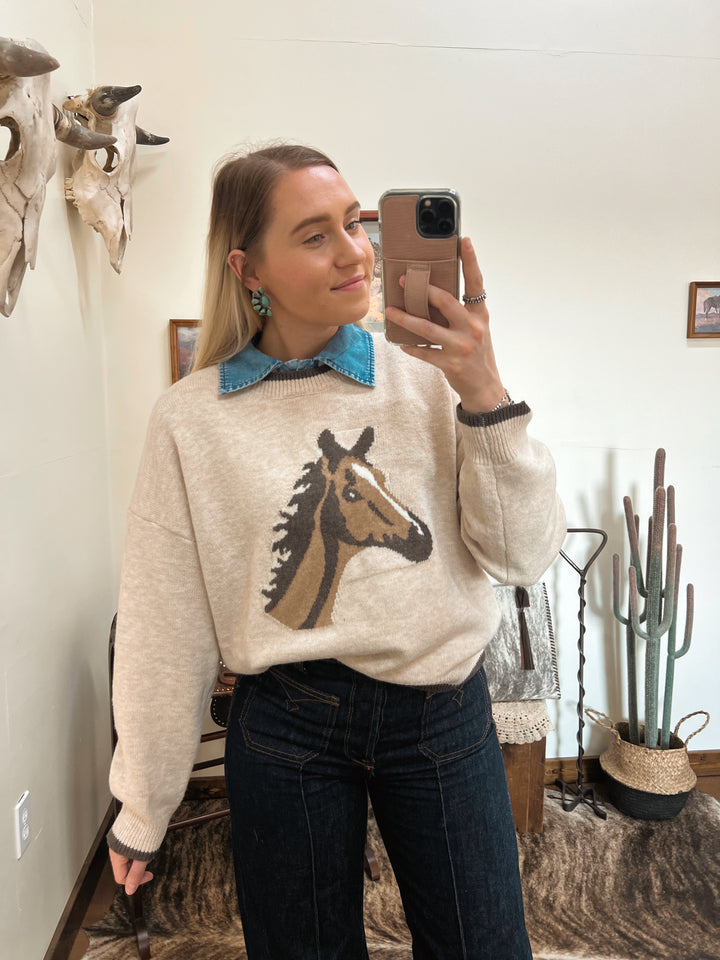 Round Up Sweater