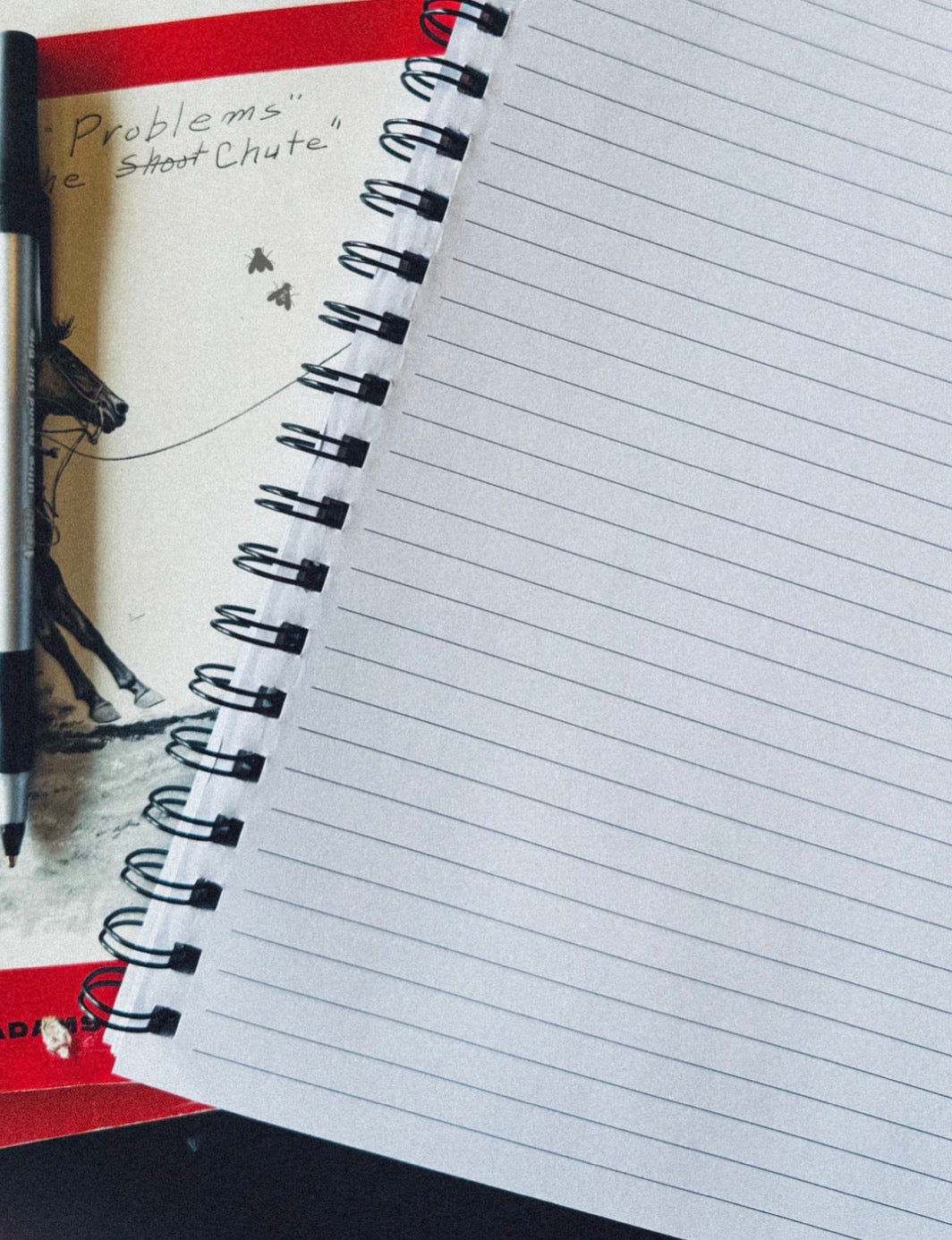 Leopard Notebook