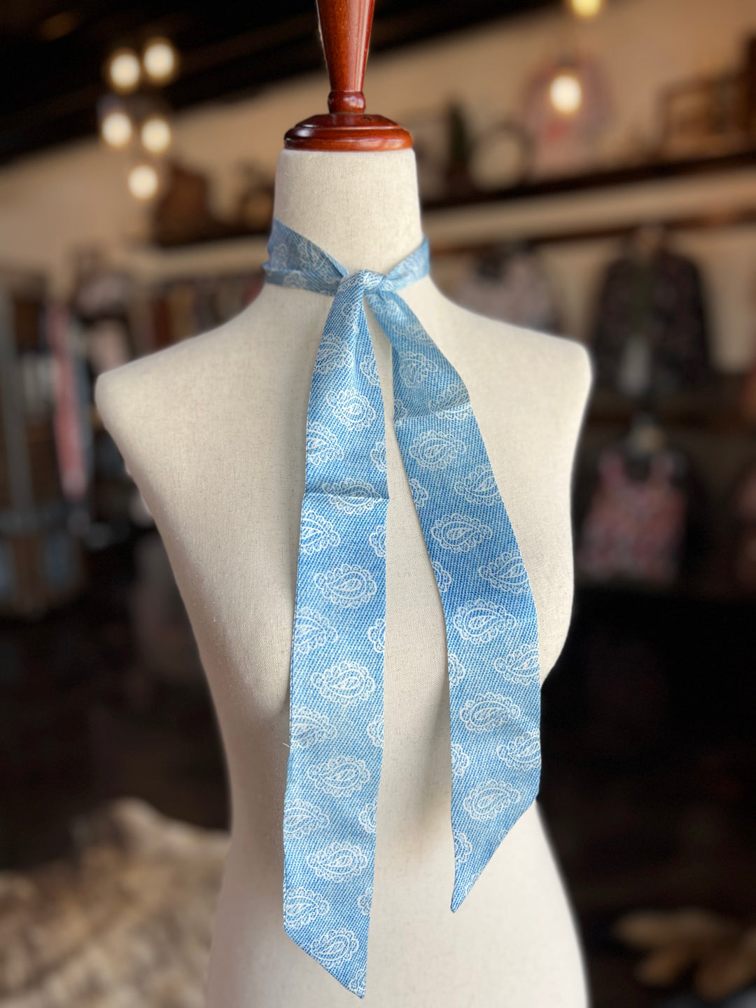 Denim Paisley Twilly