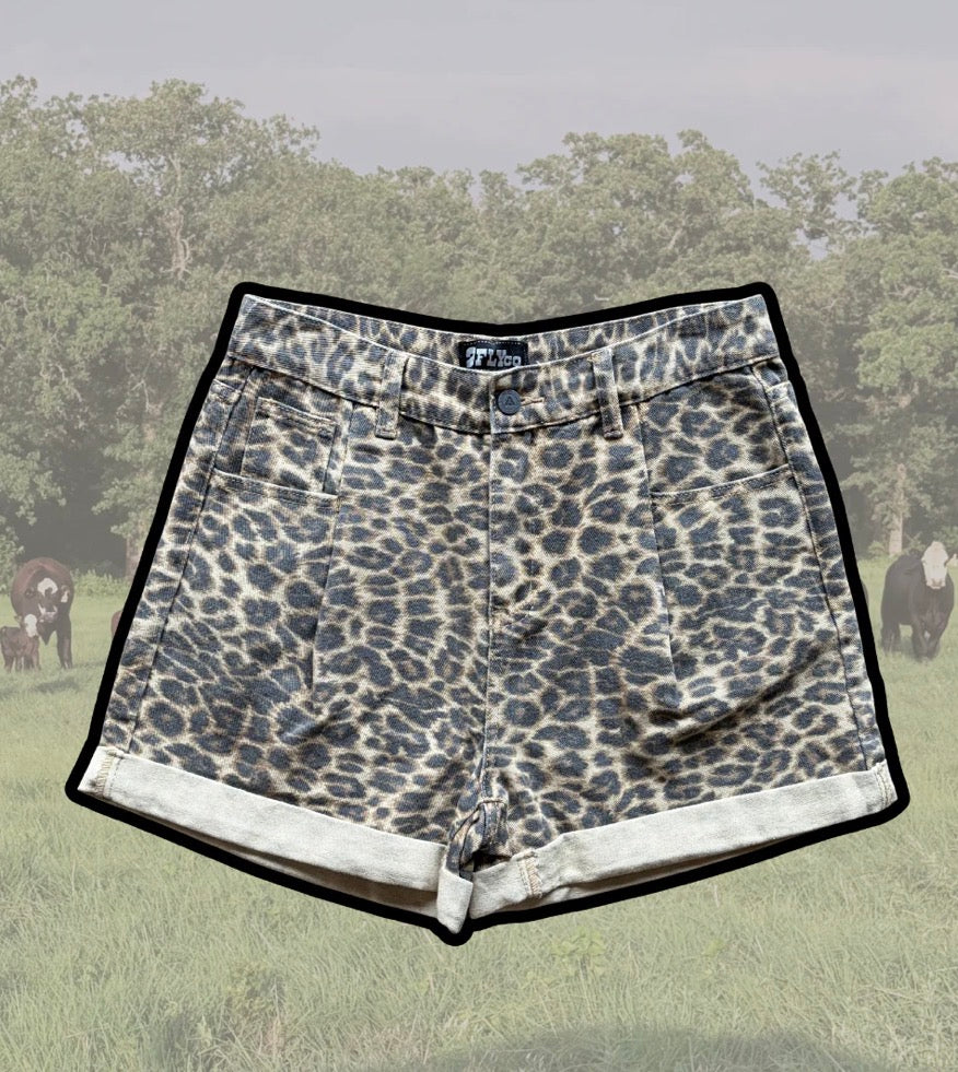 Wildcatter Shorts