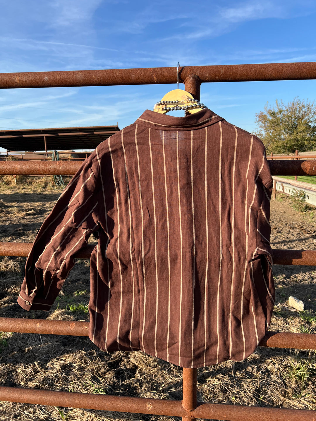 Brown Stripe Button-Up