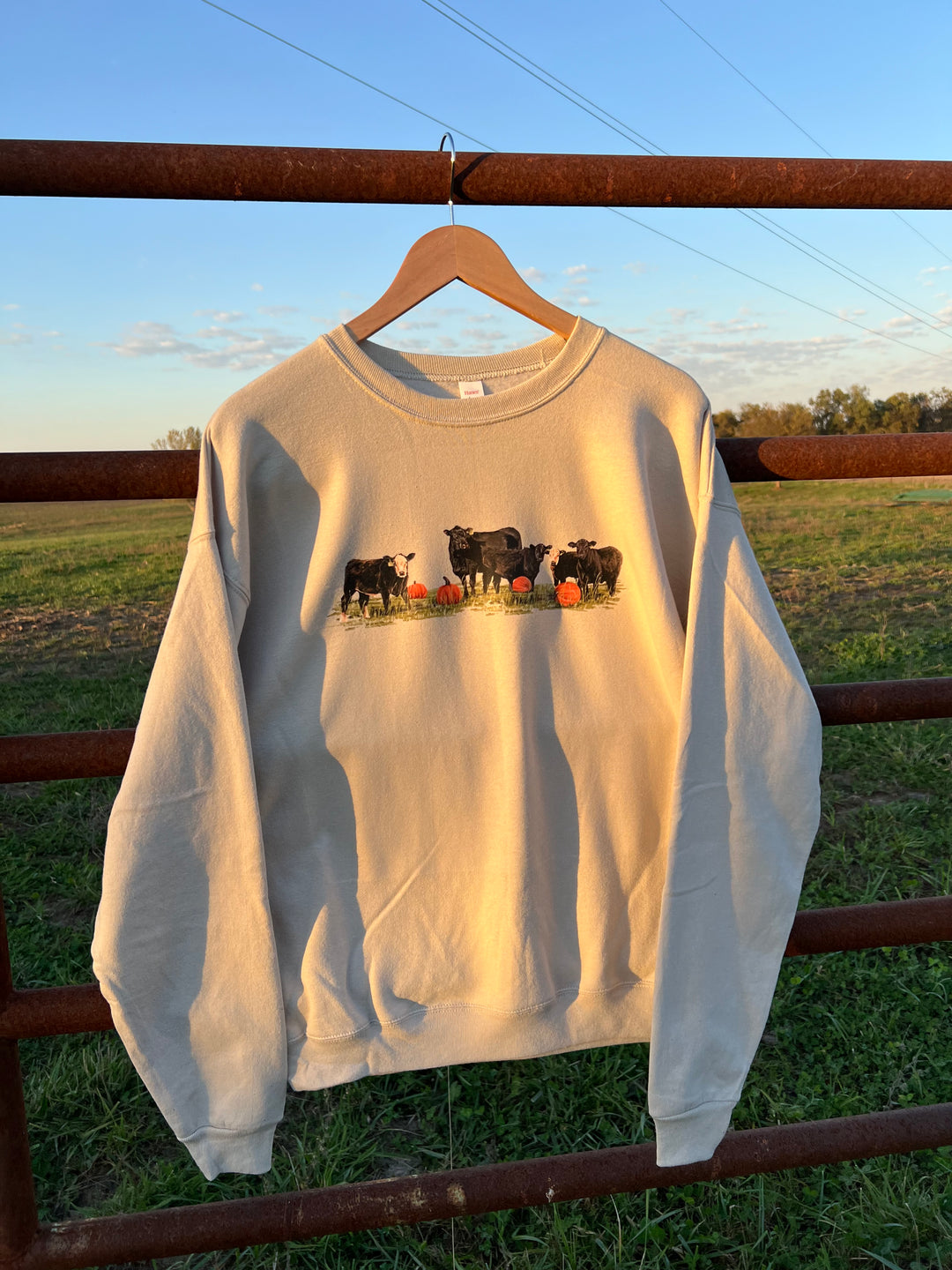 Angus Pumpkin Patch Crewneck